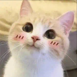 @KronoMC